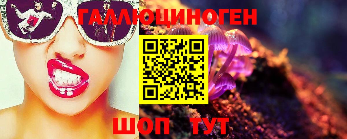Беслан  Псилоцибиновые грибы прущие грибы  Вход с VPN 